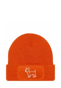 Unselected, labrador orange
