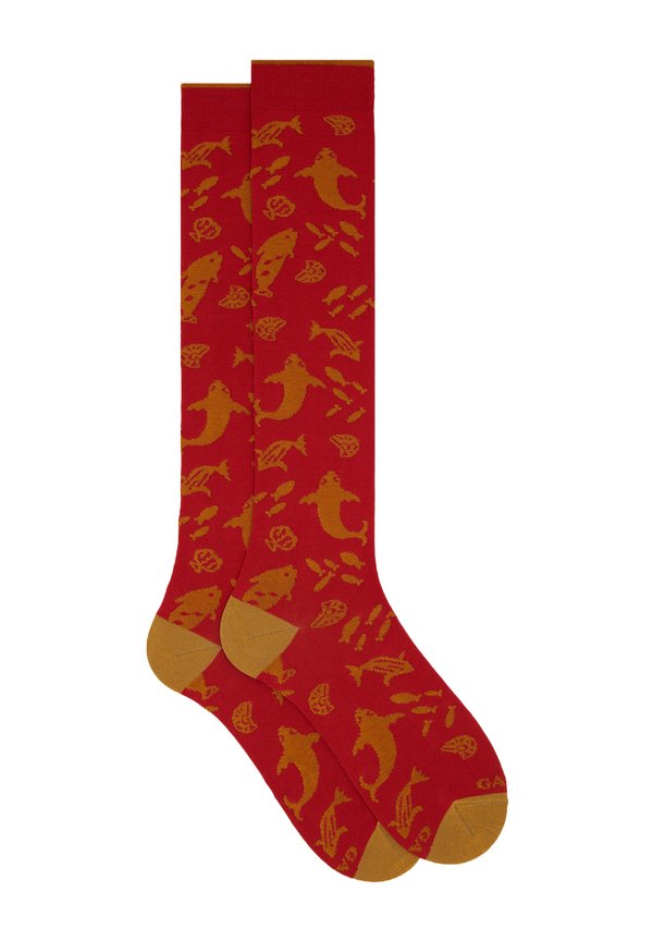 WITH PRIMORDIAL FISH PATTERN  - Kniestrümpfe - rosso