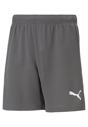 Puma TEAMRISE  MAND - Kurze Sporthose - grauweiss