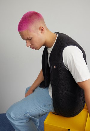 Dickies MOUNT HOPE VEST - Smanicato - black