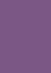 n.12 metallic purple