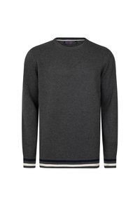 CREW NECK  - Striktrøje - anthracite