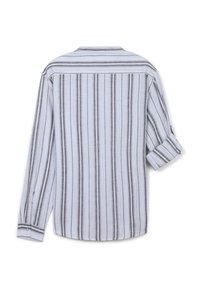 Camicia button-up, azzurra chiara con strisce verticali grigie, maniche lunghe arrotolate, colletto classico, tessuto morbido, orlo curvo.
