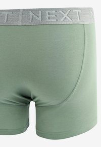Next A FRONTS 10 PACK - Boxer alsónadrág - blue grey pink