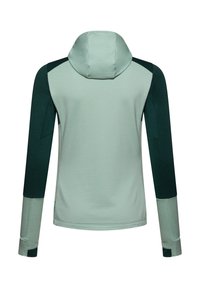 Zweifarbige langärmlige Kapuzenjacke mit leicht grünem Körper, dunklen grünen Oberärmeln und hellgrünen Bündchen mit Daumenlöchern, von hinten gezeigt.