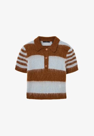Gebreid poloshirt met korte mouwen in lichtblauw met bruine strepen, voorzien van een gestructureerde afwerking, kraag en drieknopensluiting.