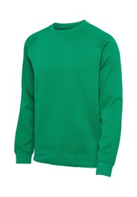 Grünes Sweatshirt mit langen Ärmeln und Rundhalsausschnitt, mit gerippten Bündchen und Saum, vor weißem Hintergrund dargestellt.