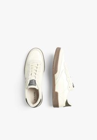Scalpers FORD - Zapatillas - green