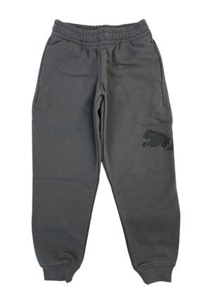 Puma, ESS GRAP PANTS TR COL 34 - Pantaloni sportivi - grey