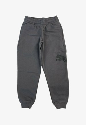 Puma, ESS GRAP PANTS TR COL 34 - Pantaloni sportivi - grey
