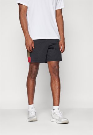 adidas Sportswear HOUSE OF TIRO NATIONS PACK - Pantaloncini sportivi - black/team victory red