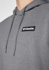Columbia MERIDIAN CREEK™ HOODIE - Luvtröja - grey heather