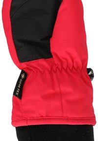 Röda och svarta vantar med en åtstramad handled, tillverkade av vattentåligt material, har en GORE-TEX-etikett och en mjuk svart fleecefoder.