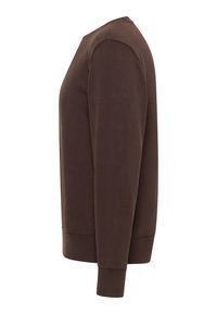 Brauner Pullover mit rundem Ausschnitt, langen Ärmeln und lockerem Sitz. Hergestellt aus weichem Stoff mit glatter Textur und dezentem Nahtdetail.