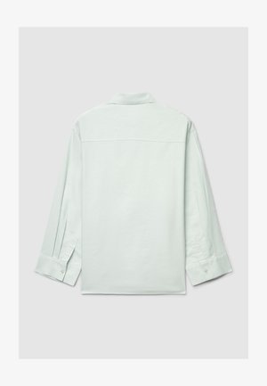 Camicia a maniche lunghe verde menta chiaro con colletto abbottonato, uno yoke posteriore singolo e polsini abbottonati. Tessuto di cotone liscio con un taglio casual.
