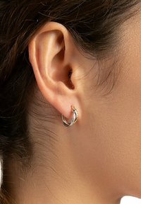 FAVS Orecchini - bicolor