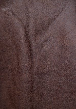 Touché Privé EMBROIDERED  - Vest - brown