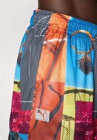 Farverige basketball-tema mesh shorts med syede lapper der viser kurve, basketballer og et Puma Hoops logo patch på siden.