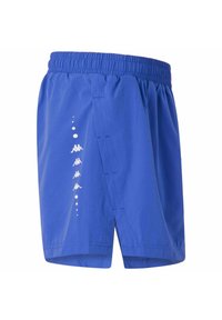 Pantaloni sportivi blu realizzati in materiale leggero, con una cintura elastica e un motivo a logo bianco lungo il lato.