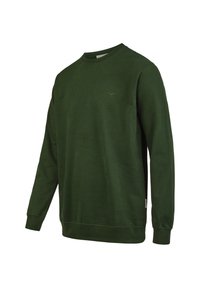 Green sweatshirt made of soft fabric, featuring a crew neckline, long sleeves, ribbed cuffs, and a small embroidered logo on the chest.