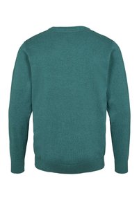 Zelený pletený svetr s kulatým výstřihem a dlouhými rukávy, hladkou strukturou, žebrovanými manžetami a lemem, bez viditelných log nebo vzorů na zádech.