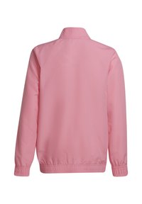 Roze jack met een kraag, elastische boorden en zoom. Gladde textuur met een effen kleur, zonder herkenbare patronen of hardware.