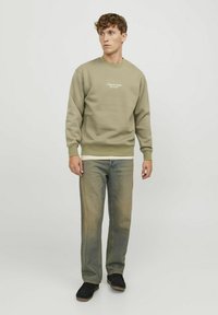 Jack & Jones JORVESTERBRO CREW NECK - Sweater - aloe