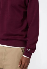 Felpa color bordeaux con polsini e orlo a costine, con un piccolo logo ricamato sulla manica. Abbinata a pantaloni beige chiaro.