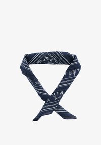 Nije odabrano, navy fish shoal maritime