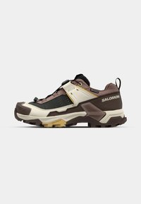 X ULTRA 5 GTX - Hiking shoes - burlwood/french roast/rattan