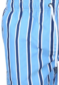 Blauwe zwembroek met verticale strepen in verschillende tinten blauw en marineblauw, met witte accenten. Elastische tailleband en verstelbare koordsluiting.