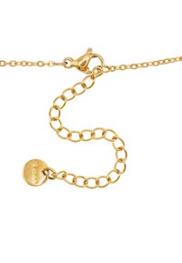 Gouden metalen ketting met een kreeftsluiting, voorzien van ronde schakels en een cirkelvormig label met de gravure "S. Steel". Witte textuur.