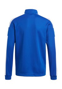 Blauwe sportjack met een hoge kraag, witte zijstrepen, lange mouwen en elastische manchetten. Gemaakt van gladde, lichte stof.