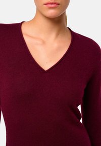 Pull à col V bordeaux, fabriqué en un matériau en tricot doux, présente un design ajusté et une texture lisse avec un encolure dégagée.