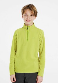 Pullover in pile di un vivace verde lime con mezzo zip, colletto alto e zip marchiata coordinata. Texture morbida e vestibilità casual.
