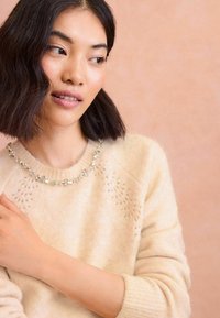 Love & Roses REGULAR FIT - SCATTERED SEQUIN BOW - Pulover - camel