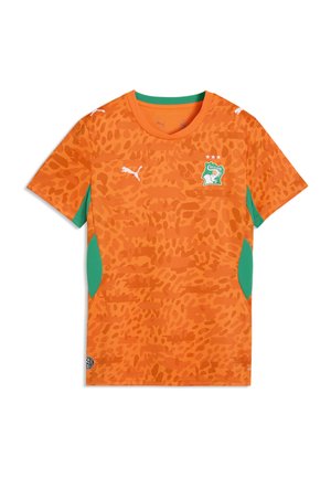 Puma Voetbalshirt - rickie orange-sport green