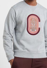 Sudadera de color gris claro con un logo bordado texturizado y en capas en tonos de rosa y burdeos. Los puños y el dobladillo acanalados completan el diseño.