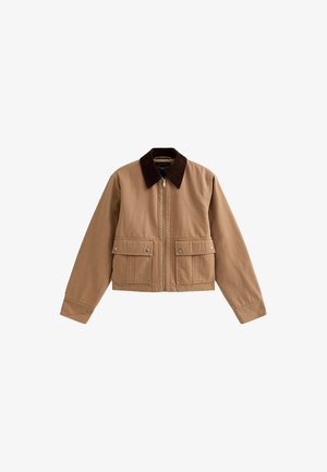 New Look COLLARED - Light jacket - tan