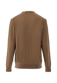 Brauner Langarmpullover mit Rundhalsausschnitt. Glattes Material mit gerippten Bündchen und Saum. Einfaches Design, keine sichtbaren Logos oder Muster.