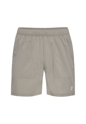 Lichtgrijze sportshorts met een elastische tailleband, twee voorzakken en een klein wit chevronlogo op het linkerbeen.
