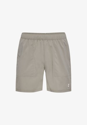 Lichtgrijze sportshorts met een elastische tailleband, twee voorzakken en een klein wit chevronlogo op het linkerbeen.