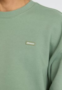 Svetlozelená mikina vyrobená z mäkkej tkaniny, s rebrovaným golierom a malou obdĺžnikovou nášivkou loga Dickies v kontrastnej farbe.