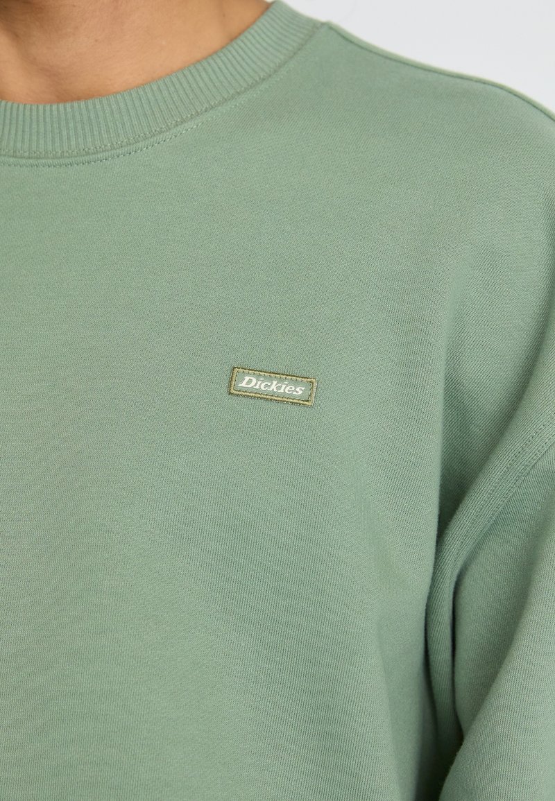 Ljusgrön sweatshirt gjord av mjukt material, med en ribbad hals och en liten, rektangulär Dickies-logotyp i kontrasterande färg.