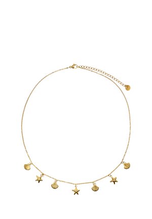 Collier délicat en chaîne d'or avec des breloques alternées petites étoiles de mer et coquillages uniformément espacées le long de la chaîne et un fermoir ajustable.