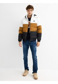 INSIDE Chaqueta de invierno - black