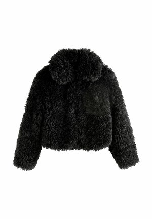 Next REGULAR FIT - Winterjacke - black