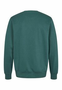 Zaļš džemperis ar apaļu kakla izgriezumu, garām piedurknēm un ribotām aprocēm un apakšmalu. Izgatavots no mīkstas, teksturētas auduma ar vienkāršu apdari.