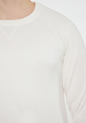 Nahaufnahme einer Person, die ein schlichtes, weißes Langarm-T-Shirt mit Rundhalsausschnitt trägt, bei dem die Nähte am Kragen und an der Schulter deutlich sichtbar sind.