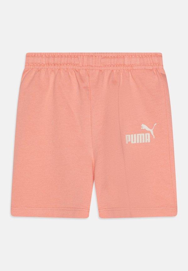 MINICATS SANDY ADVENTURES TEE AND SHORTS UNISEX SET  - Print T-shirt - alpine snow3